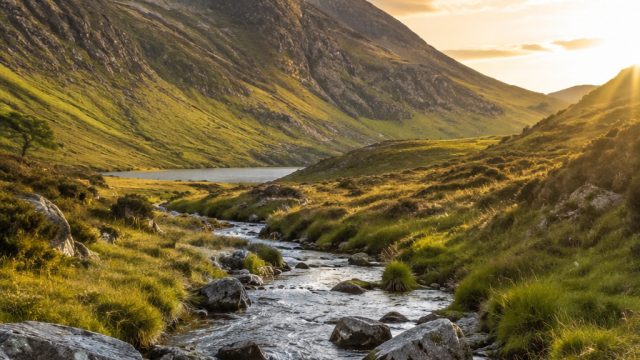 Explore Ireland's Stunning National Parks: A Must-Visit for Nature Lovers